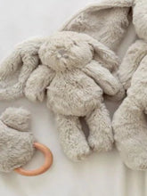 Load image into Gallery viewer, OB DESIGNS MINI BUNNIES
