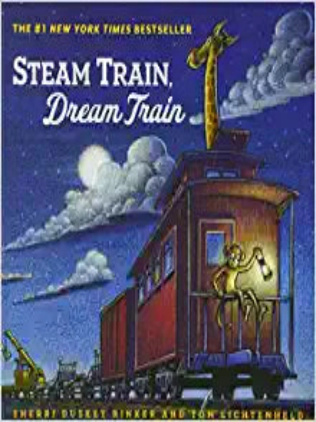 STEAM TRAIN DREAM TRAIN BOOK